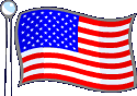 Flag 9